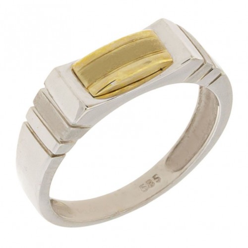 Δίχρωμο Ανδρικό Δαχτυλίδι Κ14 (2129)