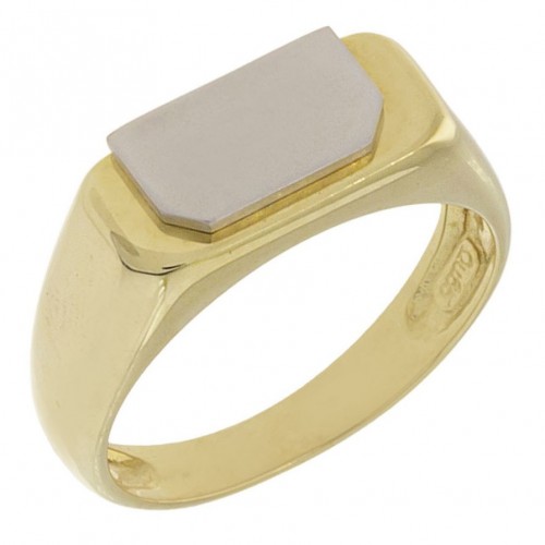 Δίχρωμο Ανδρικό Δαχτυλίδι Κ14 (3415)